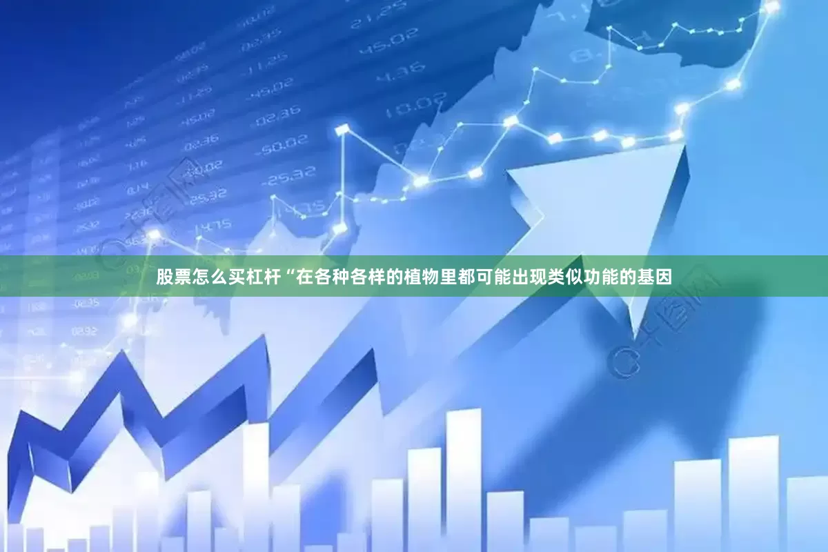 股票怎么买杠杆“在各种各样的植物里都可能出现类似功能的基因