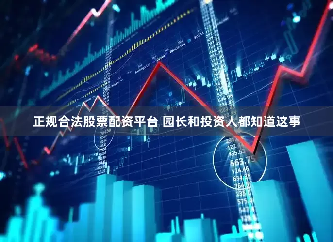 正规合法股票配资平台 园长和投资人都知道这事