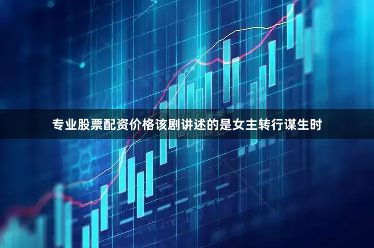专业股票配资价格该剧讲述的是女主转行谋生时