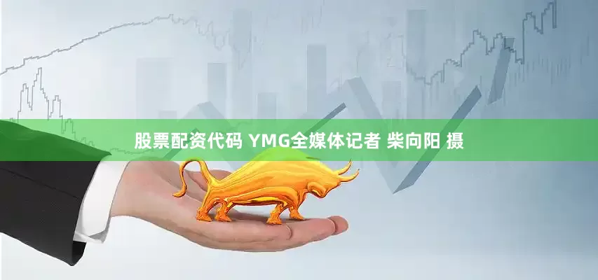 股票配资代码 YMG全媒体记者 柴向阳 摄